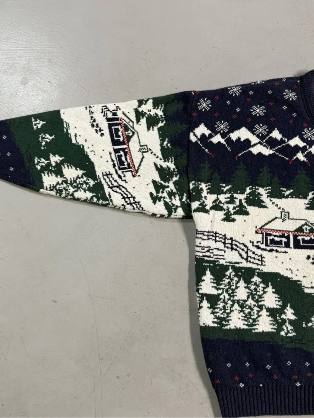 Vintage Northern Reflections Nature Winter Mountain Scene Cardigan Womens Large